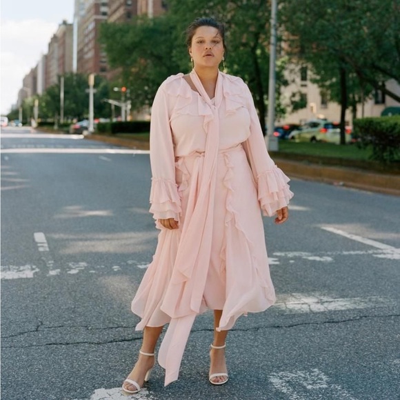 RODARTE X UNIVERSAL STANDARD PINK SHEER CHIFFON RUFFLE ELEGANT SKIRT 18-20 M - Picture 1 of 15